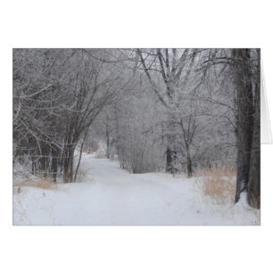Winter Solitude Cards