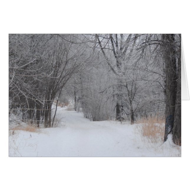 Winter Solitude Cards (Front Horizontal)