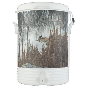 Winter Solstice Cooler