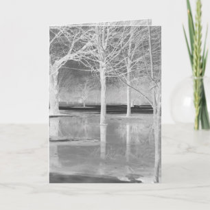 Winter Solstice Greeting Card by Janz