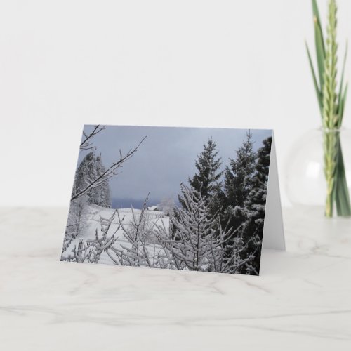 Winter Solstice Holiday Card