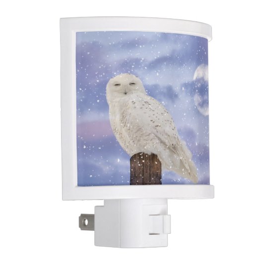 Winter solstice night light (Right)