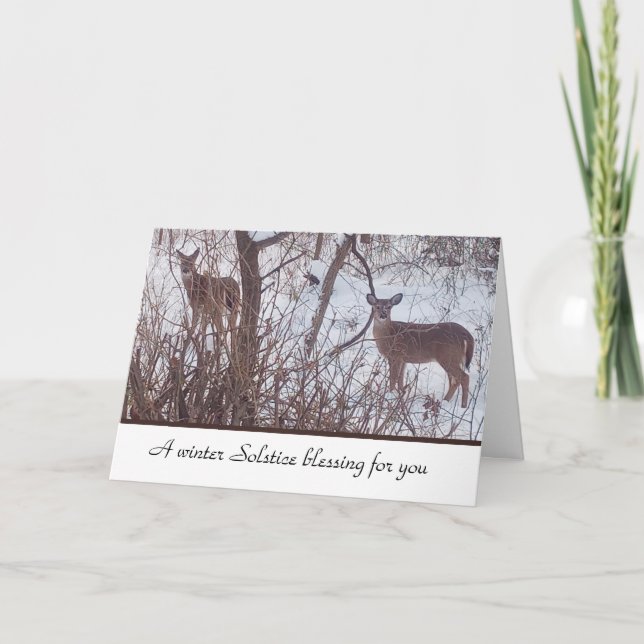 Winter Solstice  Photo of Deer Folded  Note Card (Front)