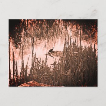 Winter Solstice Postcard by JTHoward at Zazzle