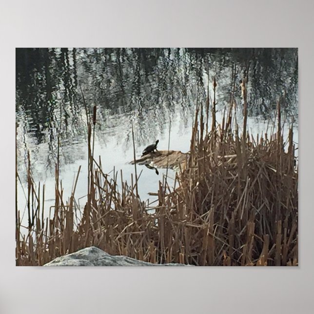 Winter Solstice Poster (Front)