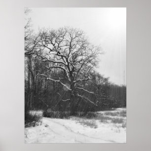 Winter Solstice Poster