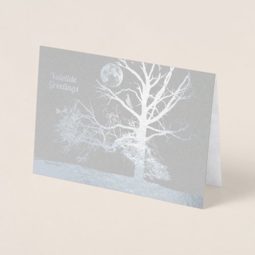 Winter Solstice  Prospect Park NY__holiday Foil Card