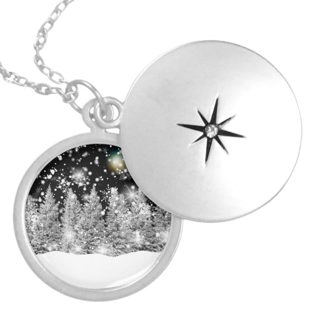 Winter Solstice Snowfall Locket Necklace (Front)