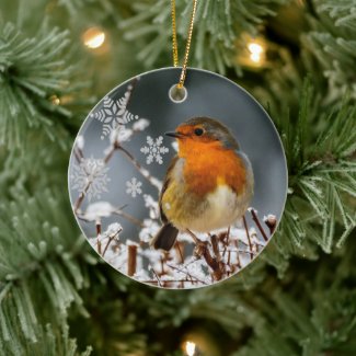 Winter Solstice with Robin Bird Ceramic Ornament