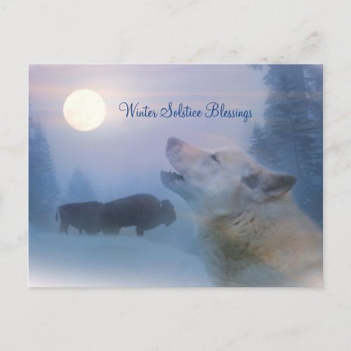 Winter Solstice Wolf  Buffalo Blessings Postcard