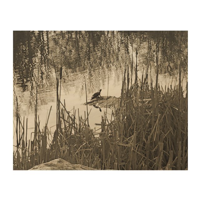 Winter Solstice Wood Wall Decor (Front)