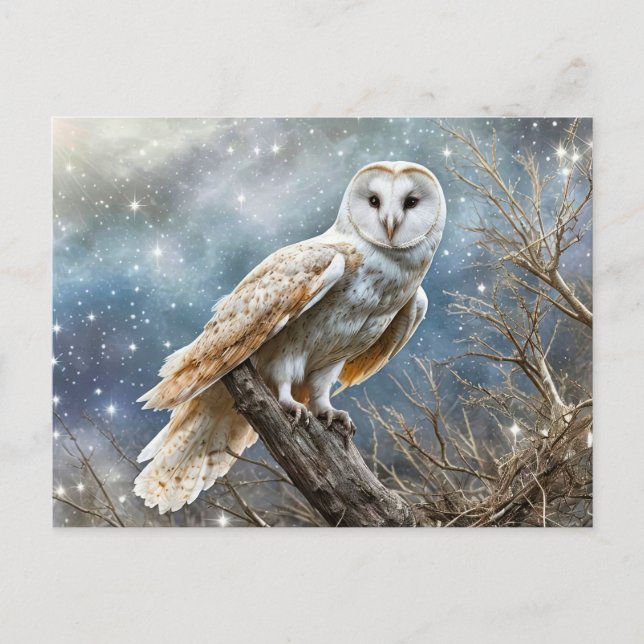 Winter Solstice Yule Magical Owl Enchanted Holiday Postcard (Front)