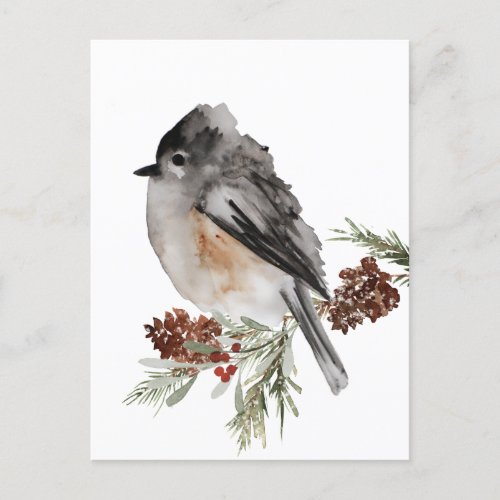 Winter Sparrow Resting On Spruce With Red Berries Postcard