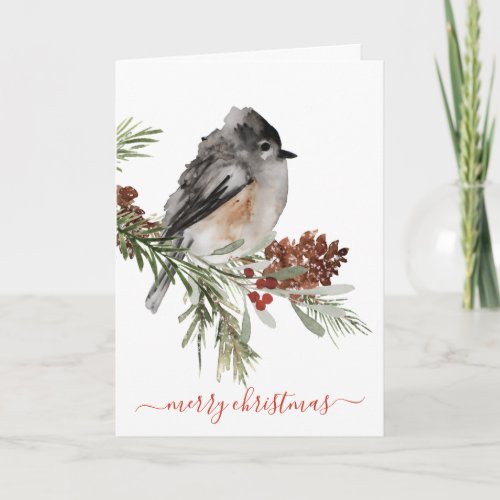 Winter Sparrow Spruce Red Berries Merry Christmas Holiday Card