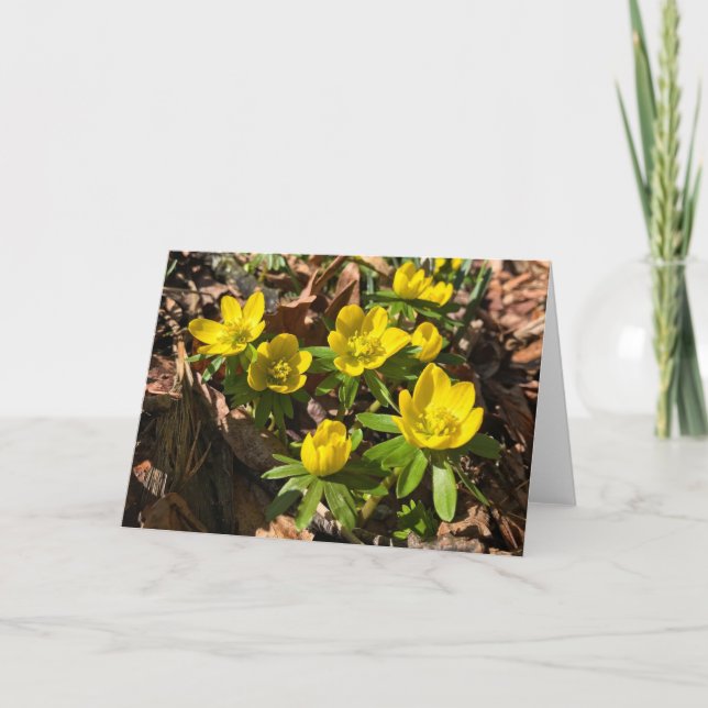 Winter / Spring Greeting Card (Blank Inside) (Front)