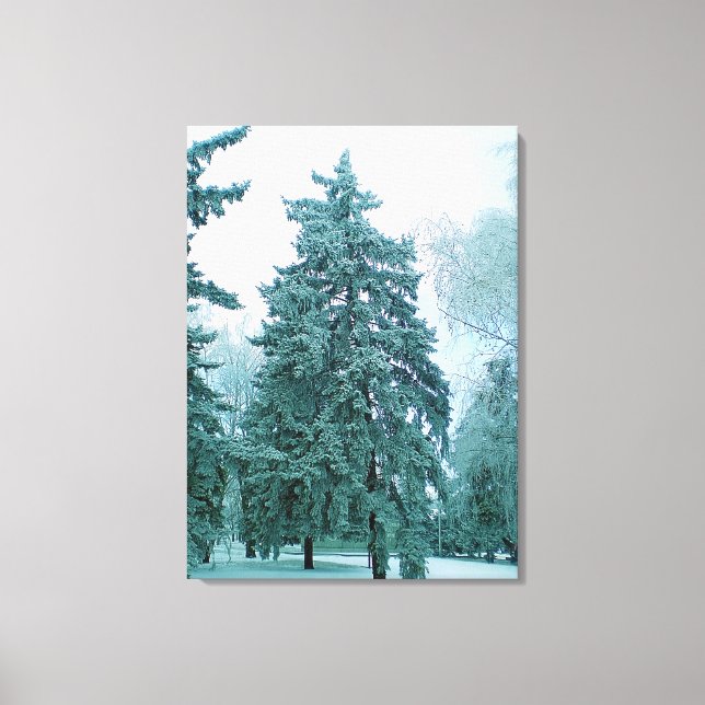 Winter spruce tree with snow canvas print (Front)