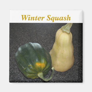 Winter Squash - Acorn and Butternut Magnet