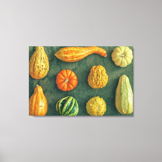Winter Squash Canvas Print (Front)