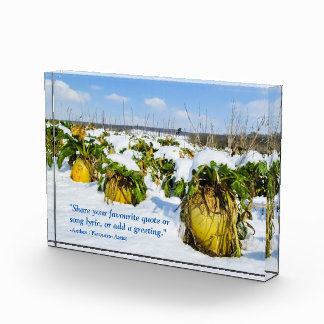 Winter Squash in Snow - Personalized Photo Block