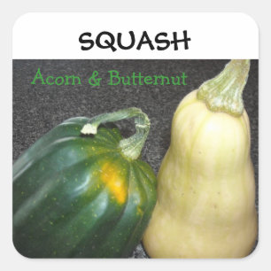 Winter Squash Square Sticker