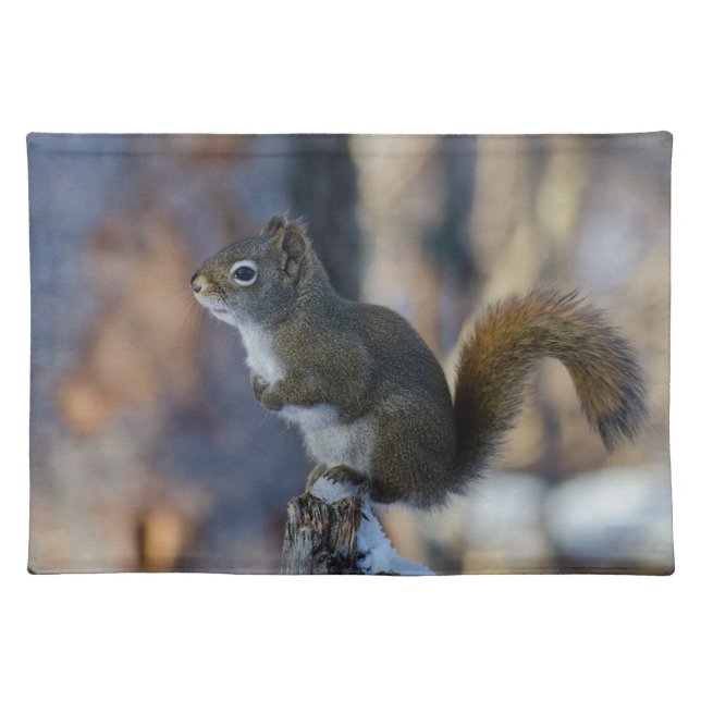 Winter Squirrel, Brown Animal, Canadian Critter Cloth Placemat (Front)