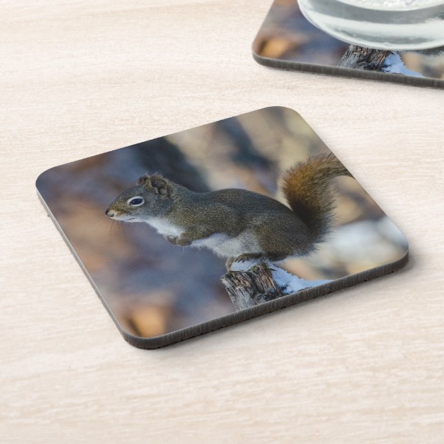 Winter Squirrel, Brown Animal, Canadian Photograph Beverage Coaster (Left Side)