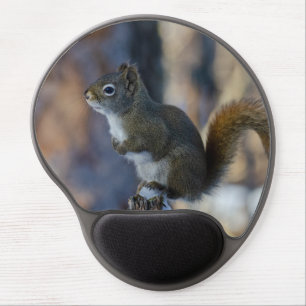 Winter Squirrel, Brown Animal, Canadian Photograph Gel Mouse Pad