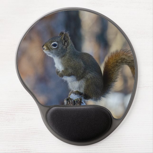 Winter Squirrel, Brown Animal, Canadian Photograph Gel Mouse Pad (Front)