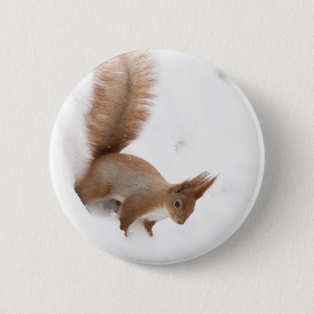 Winter Squirrel Button (Front)