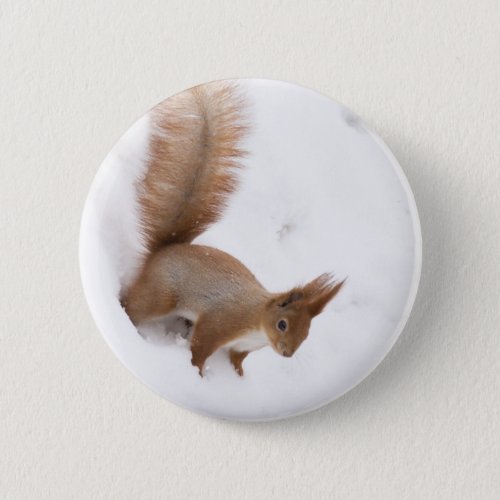 Winter Squirrel Button