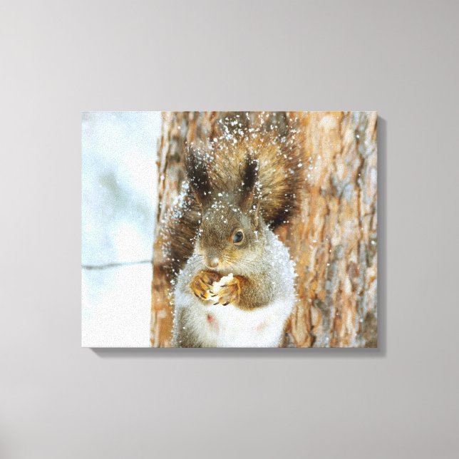 Winter Squirrel Canvas Print (Front)