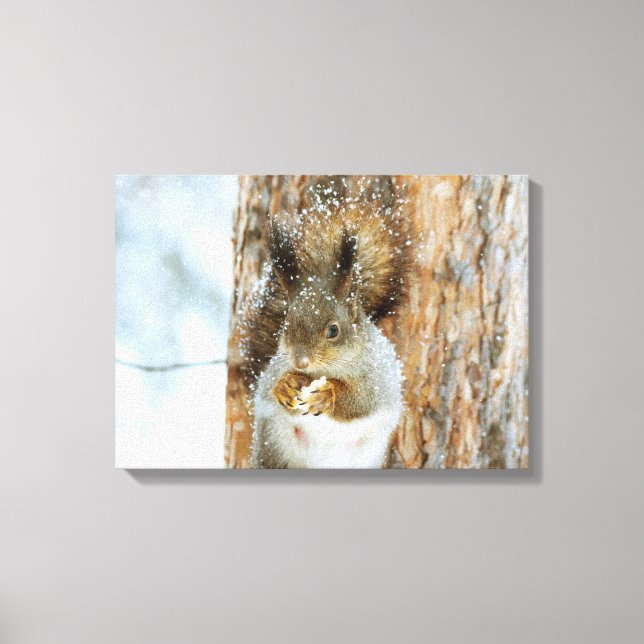 Winter Squirrel Canvas Print (Front)