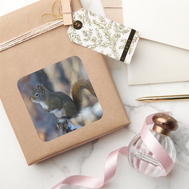 Winter Squirrel on Tree Stump Square Sticker (Gifting)