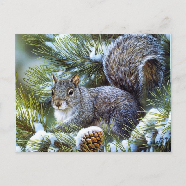 Winter Squirrel Postcard (Front)