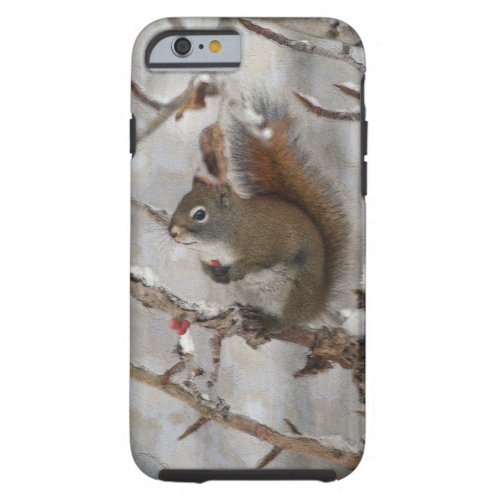 Winter Squirrel Snow  Red Berries Xmas Design Tough iPhone 6 Case