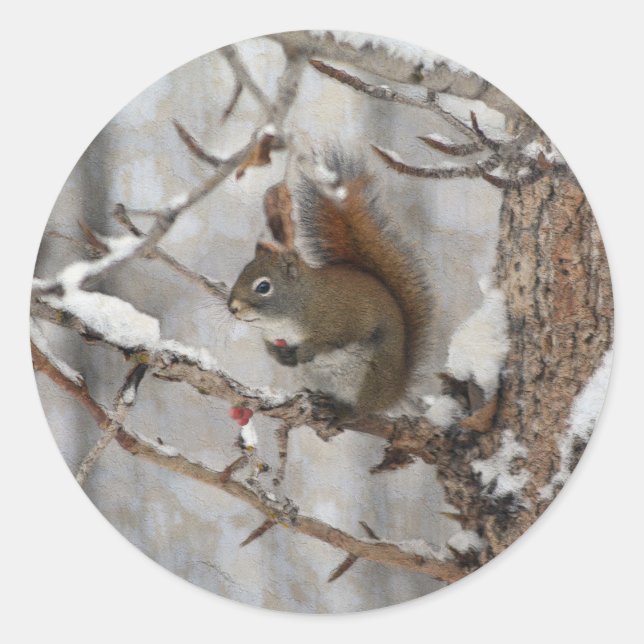 Winter Squirrel, Snow & Red Berries Xmas Design Classic Round Sticker (Front)