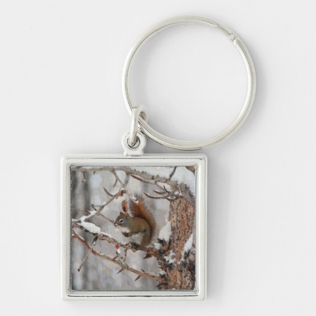 Winter Squirrel, Snow & Red Berries Xmas Design Keychain (Front)
