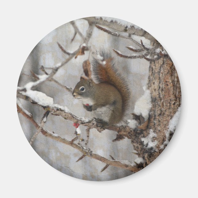 Winter Squirrel, Snow & Red Berries Xmas Design Magnet (Front)