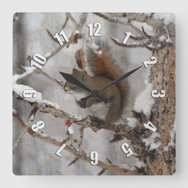 Winter Squirrel, Snow & Red Berries Xmas Design Square Wall Clock (Front)