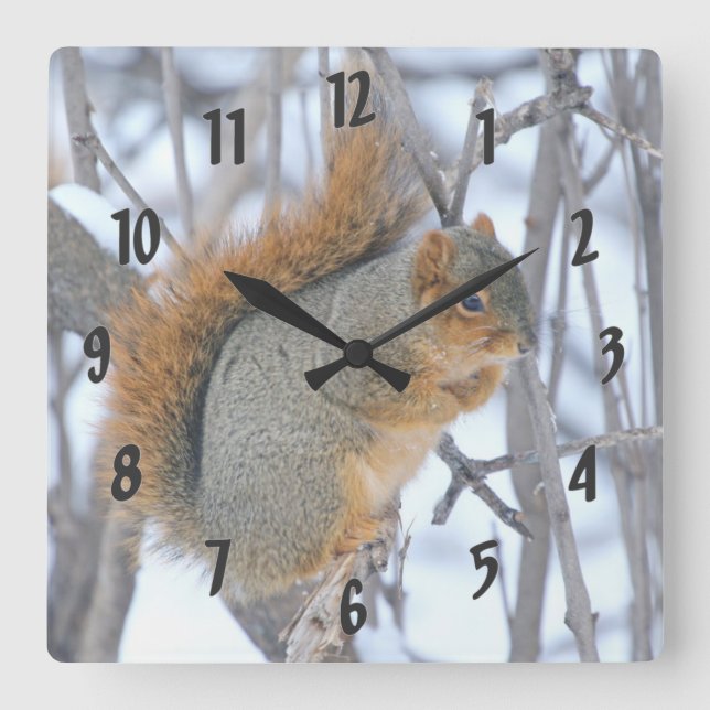 Winter Squirrel Square Wall Clock (Front)