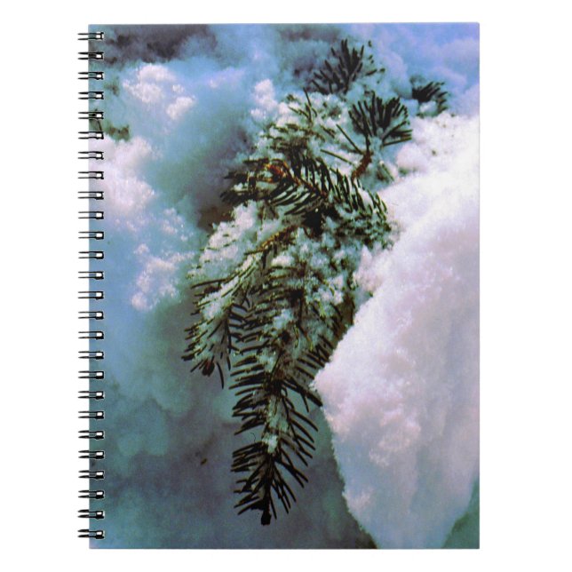 'Winter Still-life'  Notebook/Journal Notebook (Front)