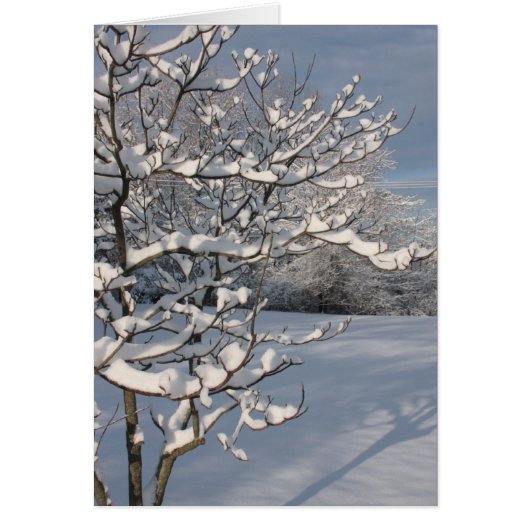 Winter Storm Cards (Front)
