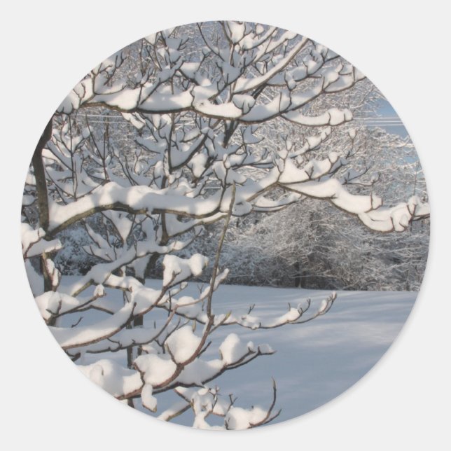 Winter Storm Classic Round Sticker (Front)