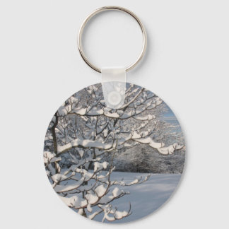 Winter Storm Keychain