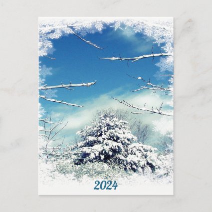 Winter Storm Tree 2024 Calendar on Back Postcard