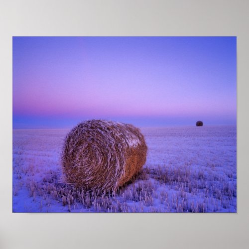 Winter Straw Bales near Cartwright North Poster