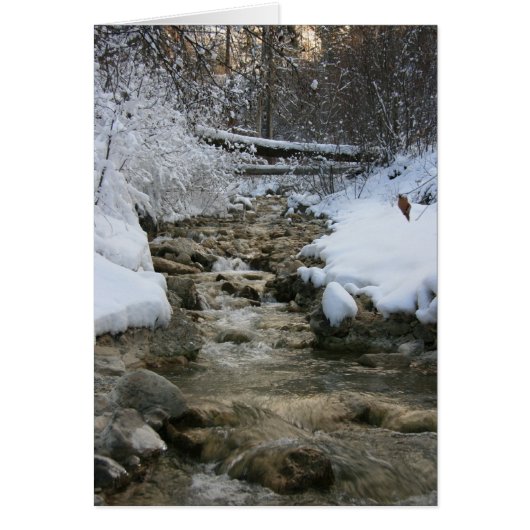 Winter Stream Cards (Front)