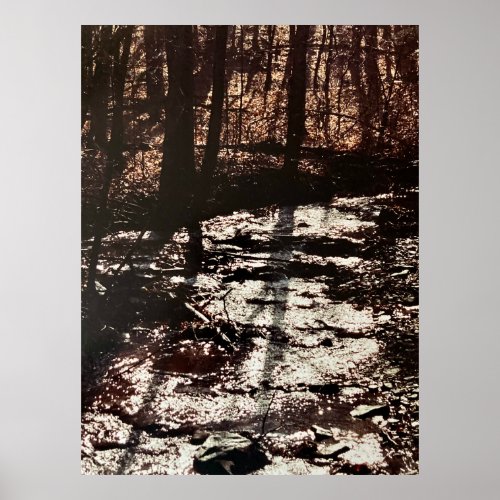  Winter stream _ West Virginia  _ Photograph Poster