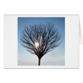 winter sun (Front Horizontal)