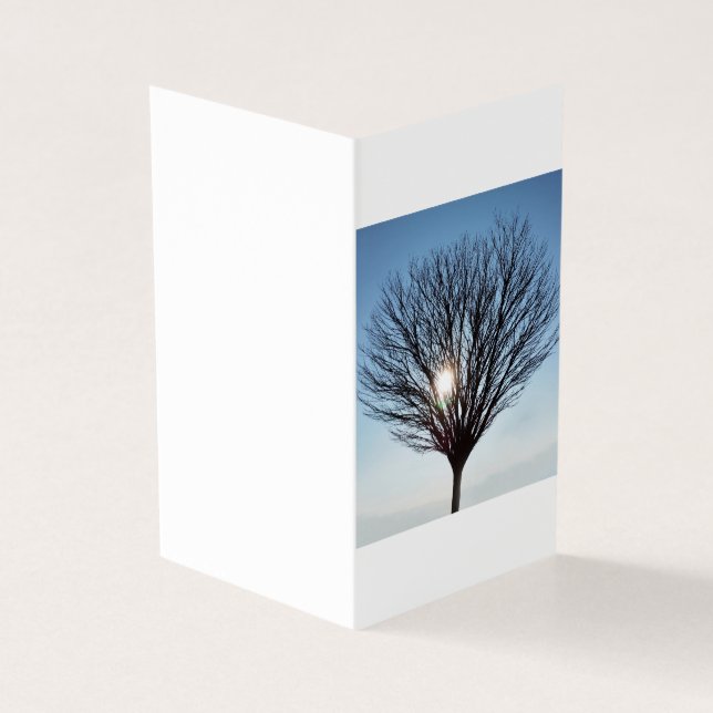 winter sun (Outside)